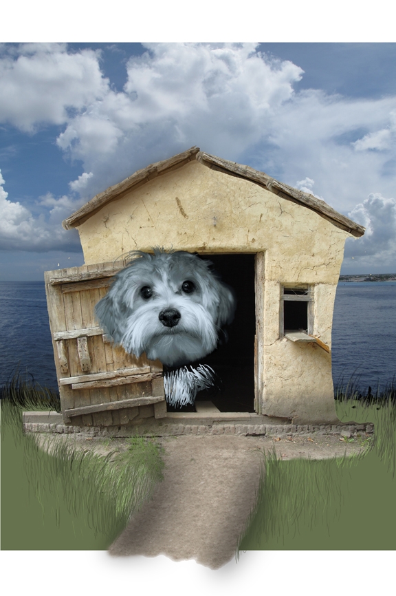 Creation of My House: Step 9